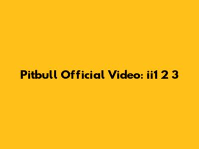 Pitbull Official Video: 'ii1 2 3'