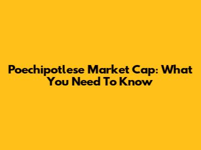 Poechipotlese Market Cap: What You Need To Know