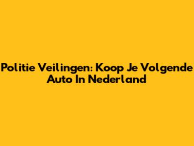 Politie Veilingen: Koop Je Volgende Auto In Nederland