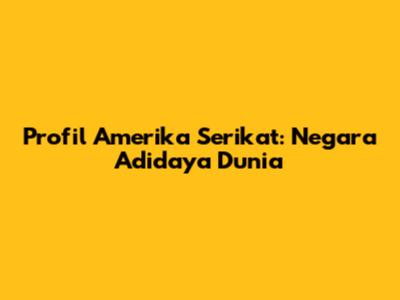 Profil Amerika Serikat: Negara Adidaya Dunia