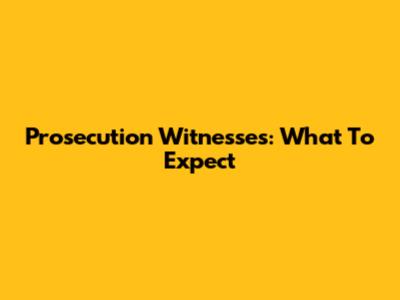 Prosecution Witnesses: What To Expect