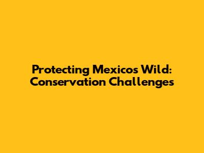 Protecting Mexico's Wild: Conservation Challenges