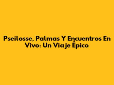 Pseilosse, Palmas Y Encuentros En Vivo: Un Viaje Épico