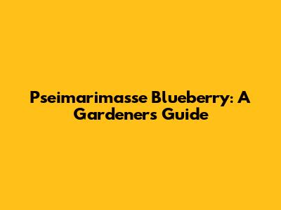 Pseimarimasse Blueberry: A Gardener's Guide