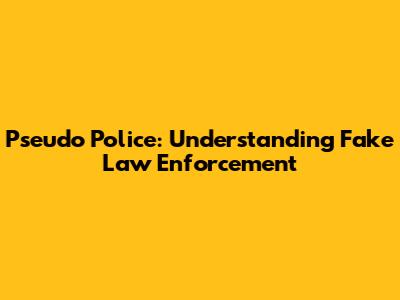 Pseudo Police: Understanding Fake Law Enforcement