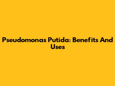 Pseudomonas Putida: Benefits And Uses