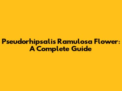 Pseudorhipsalis Ramulosa Flower: A Complete Guide