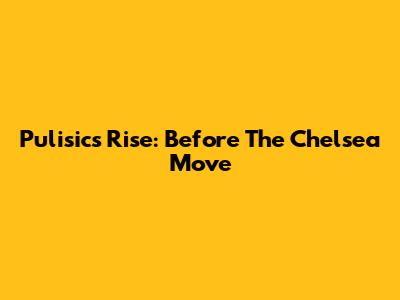 Pulisic's Rise: Before The Chelsea Move