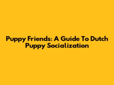 Puppy Friends: A Guide To Dutch Puppy Socialization