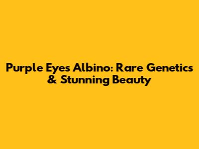Purple Eyes Albino: Rare Genetics & Stunning Beauty