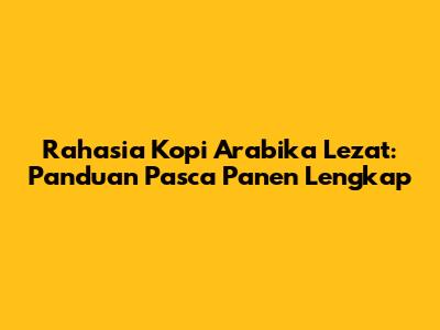 Rahasia Kopi Arabika Lezat: Panduan Pasca Panen Lengkap