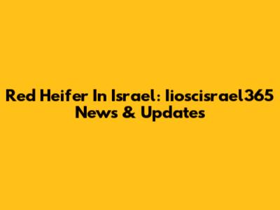Red Heifer In Israel: Iioscisrael365 News & Updates