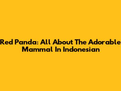 Red Panda: All About The Adorable Mammal In Indonesian