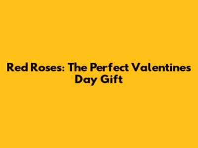 Red Roses: The Perfect Valentine's Day Gift