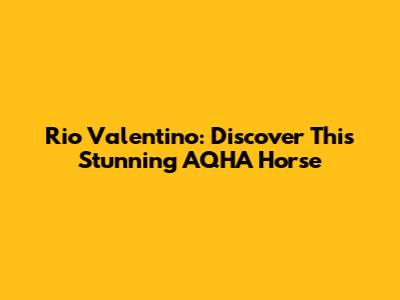 Rio Valentino: Discover This Stunning AQHA Horse