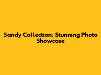 Sandy Collection: Stunning Photo Showcase