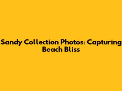 Sandy Collection Photos: Capturing Beach Bliss