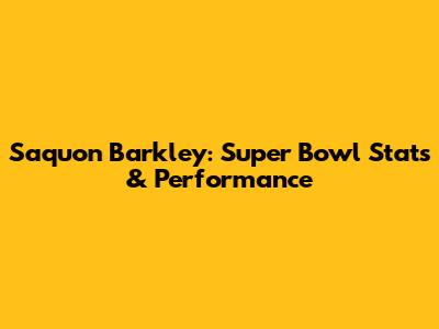 Saquon Barkley: Super Bowl Stats & Performance