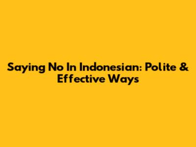 Saying No In Indonesian: Polite & Effective Ways