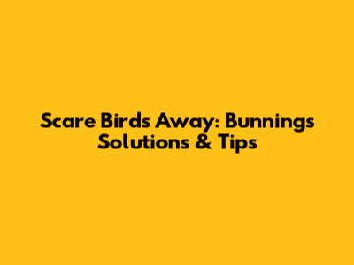 Scare Birds Away: Bunnings Solutions & Tips