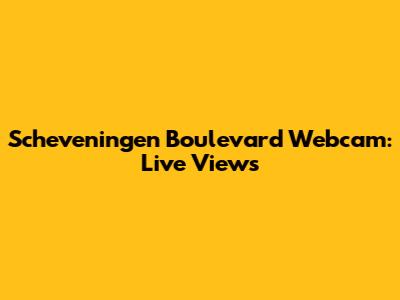 Scheveningen Boulevard Webcam: Live Views