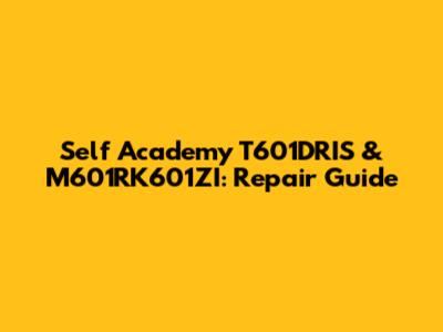 Self Academy T601DRIS & M601RK601ZI: Repair Guide