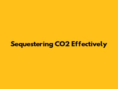 Sequestering CO2 Effectively