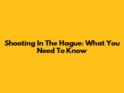 Shooting In The Hague: What You Need To Know