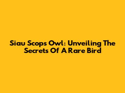 Siau Scops Owl: Unveiling The Secrets Of A Rare Bird