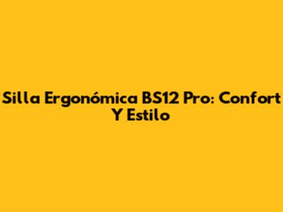 Silla Ergonómica BS12 Pro: Confort Y Estilo