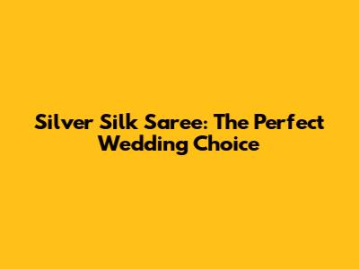 Silver Silk Saree: The Perfect Wedding Choice