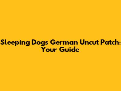 Sleeping Dogs German Uncut Patch: Your Guide