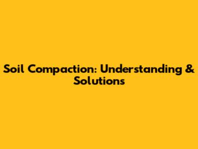 Soil Compaction: Understanding & Solutions