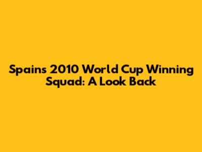 Spain's 2010 World Cup Winning Squad: A Look Back