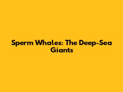 Sperm Whales: The Deep-Sea Giants
