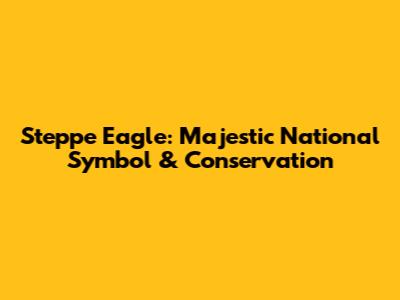 Steppe Eagle: Majestic National Symbol & Conservation