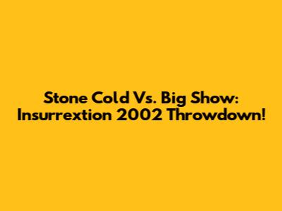 Stone Cold Vs. Big Show: Insurrextion 2002 Throwdown!