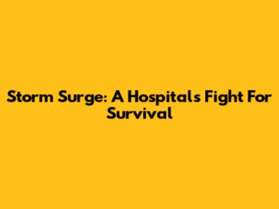 Storm Surge: A Hospital's Fight For Survival