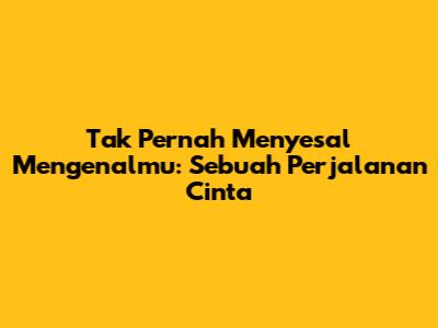 Tak Pernah Menyesal Mengenalmu: Sebuah Perjalanan Cinta