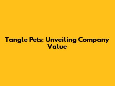Tangle Pets: Unveiling Company Value