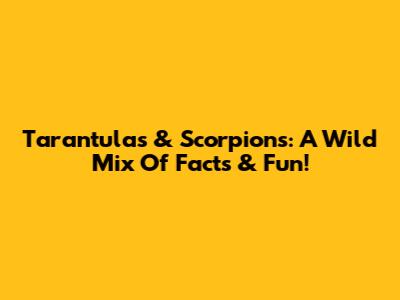 Tarantulas & Scorpions: A Wild Mix Of Facts & Fun!