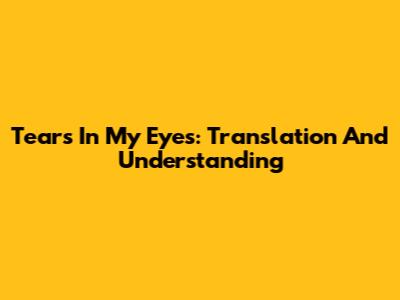 Tears In My Eyes: Translation And Understanding
