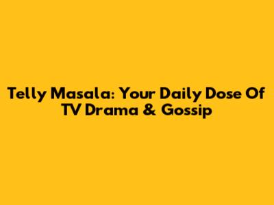 Telly Masala: Your Daily Dose Of TV Drama & Gossip