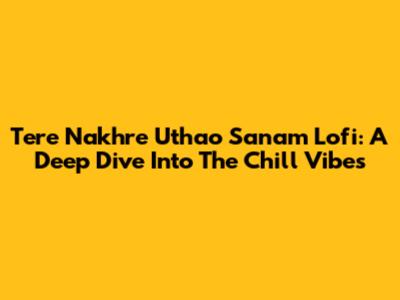 Tere Nakhre Uthao Sanam Lofi: A Deep Dive Into The Chill Vibes