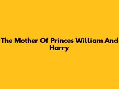 The Mother Of Princes William And Harry