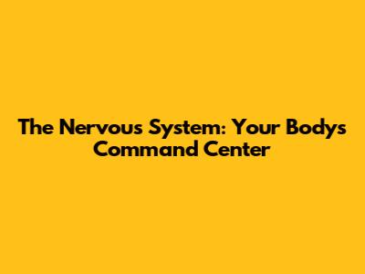 The Nervous System: Your Body's Command Center