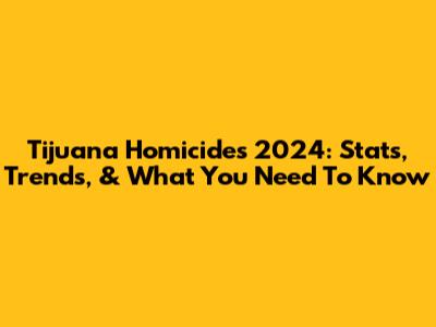 Tijuana Homicides 2024: Stats, Trends, & What You Need To Know
