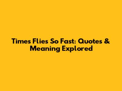 Times Flies So Fast: Quotes & Meaning Explored