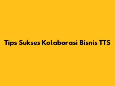 Tips Sukses Kolaborasi Bisnis TTS