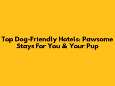 Top Dog-Friendly Hotels: Pawsome Stays For You & Your Pup